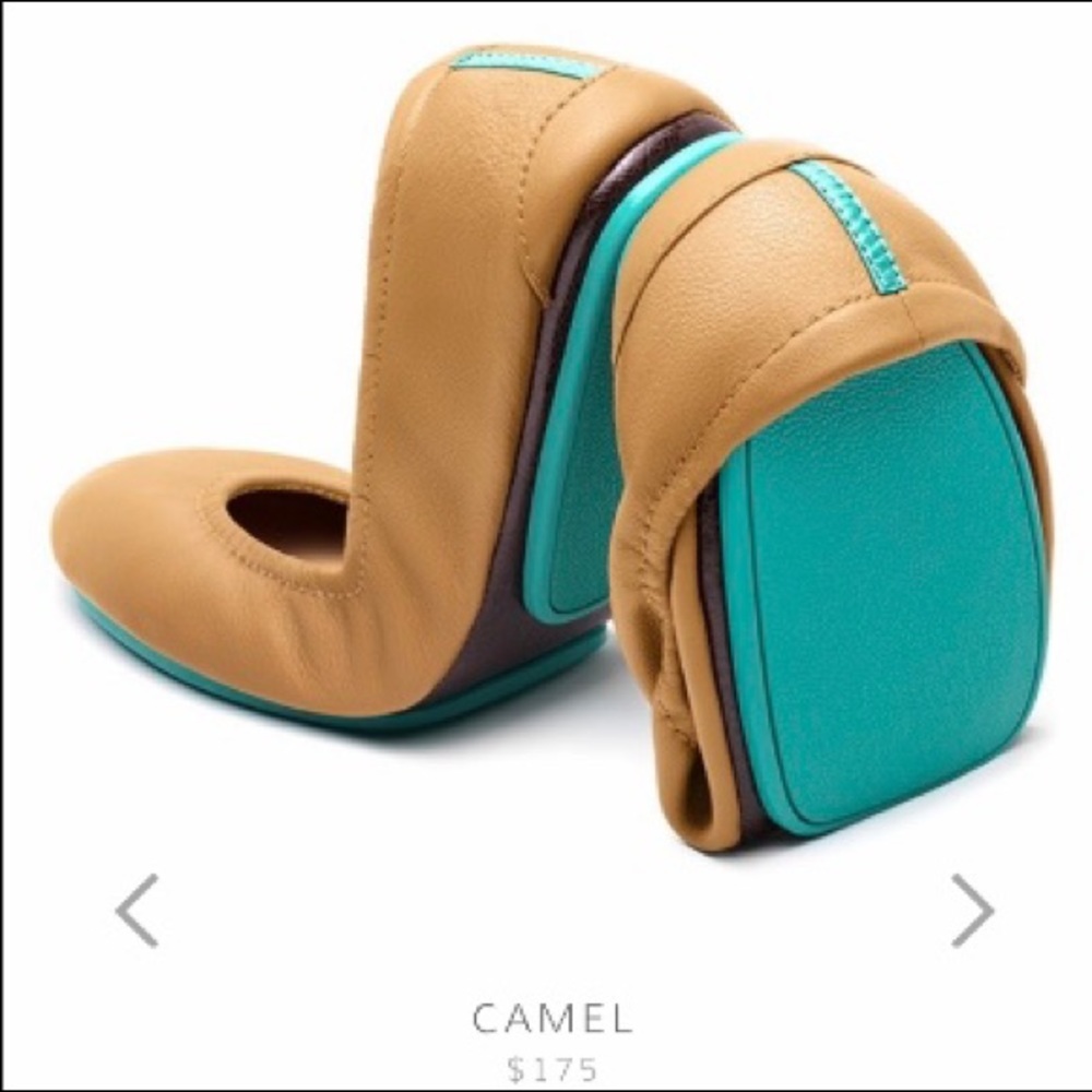 Camel Teiks In the Box, NWOT
